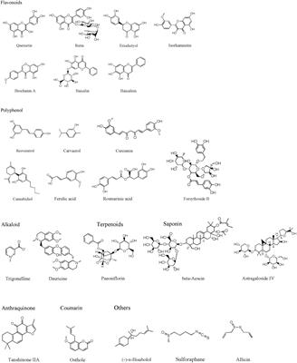 Targeting Myeloperoxidase (MPO) Mediated Oxidative Stress and Inflammation for Reducing Brain Ischemia Injury: Potential Application of Natural Compounds